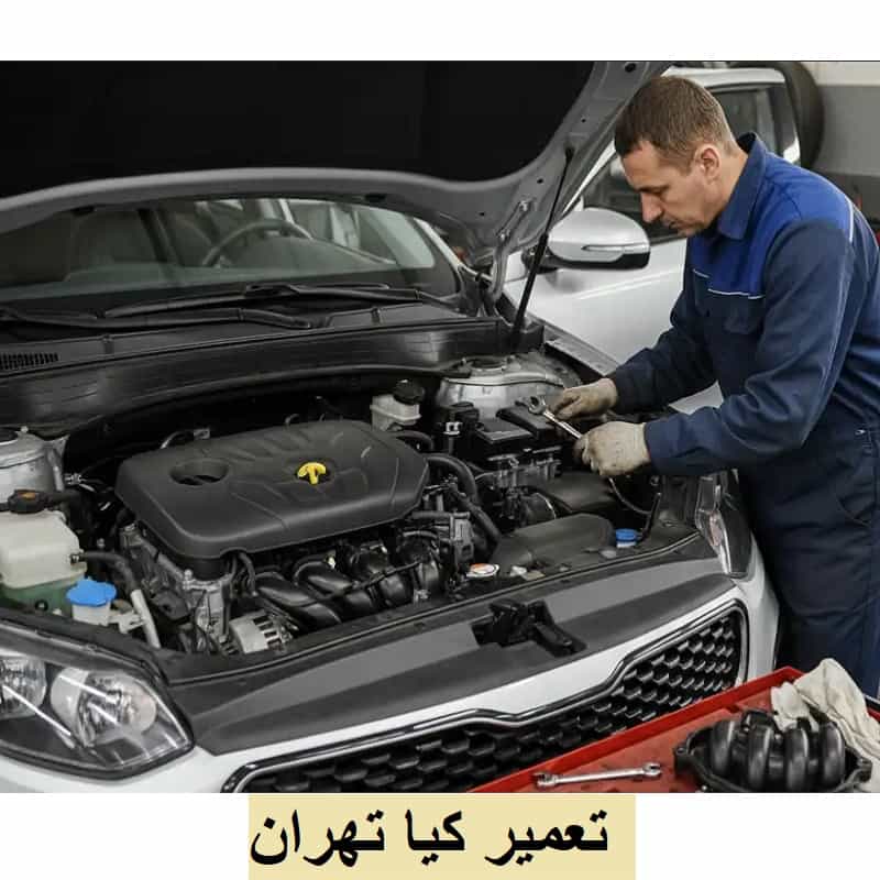 تعمیر کیا